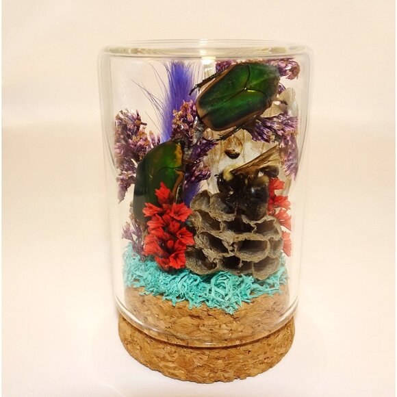 June Bug Bee Wasp Nest & Luna Moth Wing Oddity Dome curiosity taxidermy goth - Picture 1 of 13